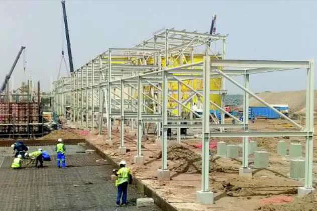 Lycopodium - Natougou Gold