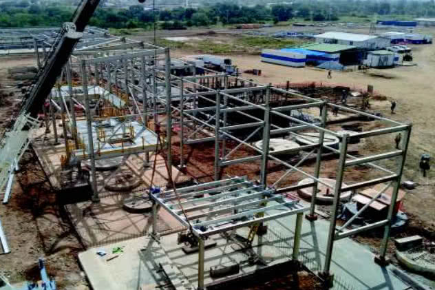 Lycopodium - Natougou Gold