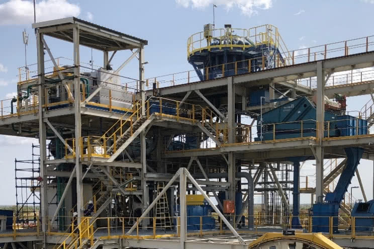 Lycopodium - Natougou Gold