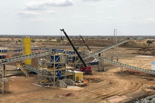 Lycopodium - Natougou Gold
