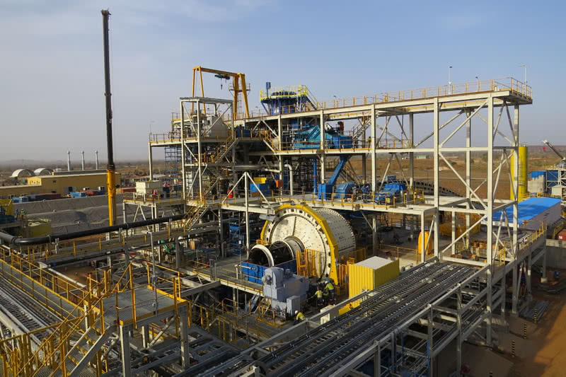 Lycopodium - Natougou Gold